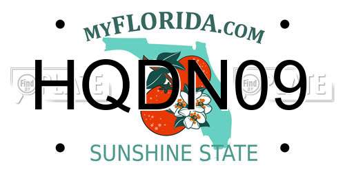 HQDN09 Florida License Plate