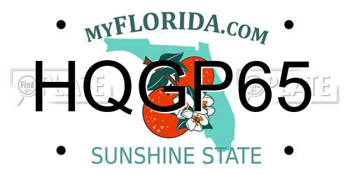 HQGP65 Florida License Plate