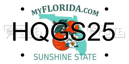 HQGS25 Florida License Plate