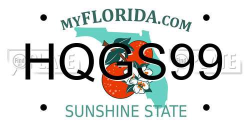 HQGS99 Florida License Plate