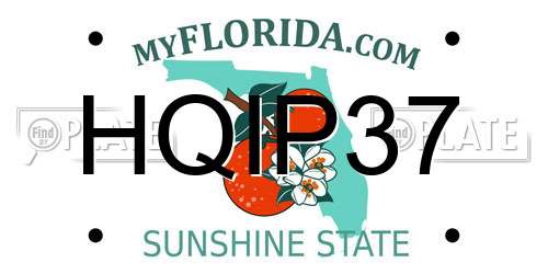 HQIP37 Florida License Plate