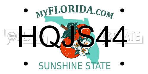 HQJS44 Florida License Plate