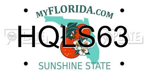 HQLS63 Florida License Plate