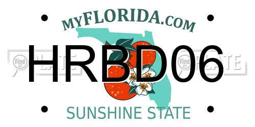 HRBD06 Florida License Plate