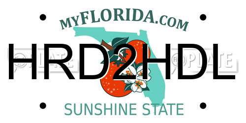 HRD2HDL Florida License Plate