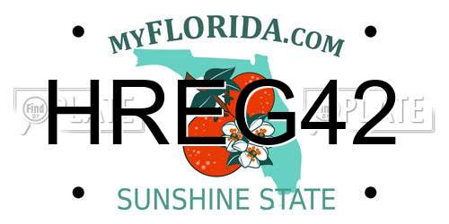 HREG42 Florida License Plate
