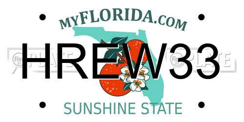 HREW33 Florida License Plate