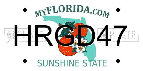 HRGD47 Florida License Plate
