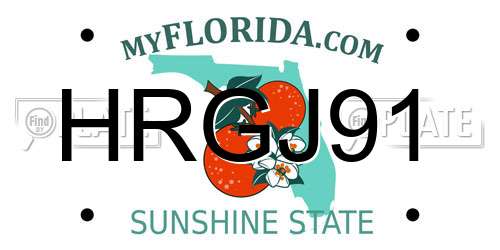 HRGJ91 Florida License Plate