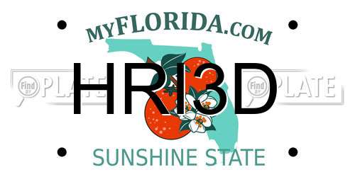 HRI3D Florida License Plate