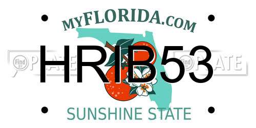 HRIB53 Florida License Plate