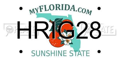 HRIG28 Florida License Plate