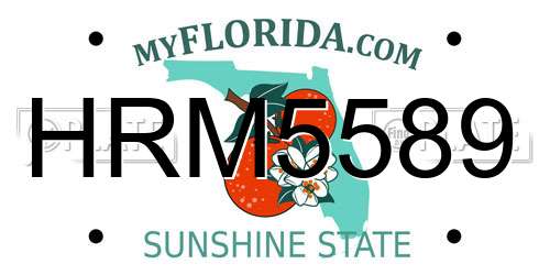 HRM5589 Florida License Plate