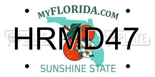 HRMD47 Florida License Plate