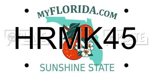 HRMK45 Florida License Plate