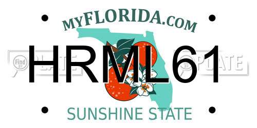 HRML61 Florida License Plate
