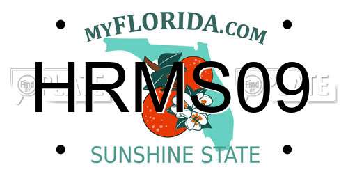 HRMS09 Florida License Plate
