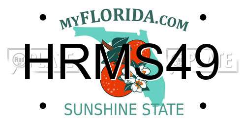 HRMS49 Florida License Plate