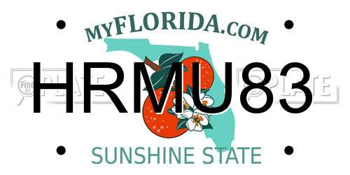 HRMU83 Florida License Plate