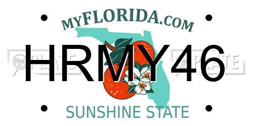 HRMY46 Florida License Plate