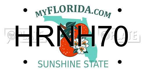 HRNH70 Florida License Plate