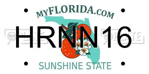 HRNN16 Florida License Plate