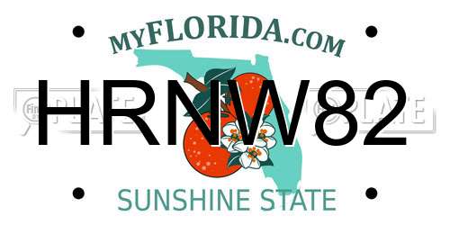 HRNW82 Florida License Plate