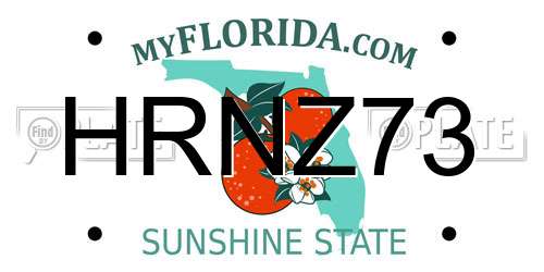 HRNZ73 Florida License Plate
