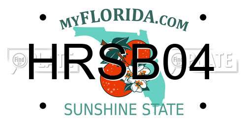 HRSB04 Florida License Plate