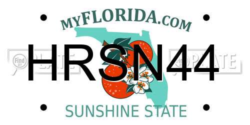 HRSN44 Florida License Plate