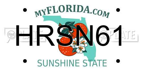 HRSN61 Florida License Plate