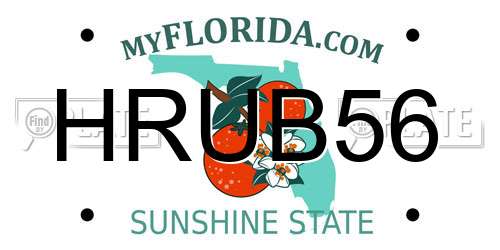 HRUB56 Florida License Plate