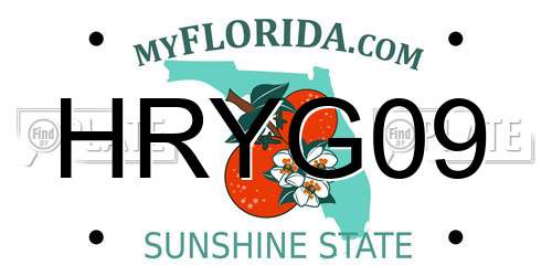 HRYG09 Florida License Plate