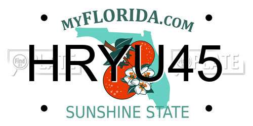 HRYU45 Florida License Plate