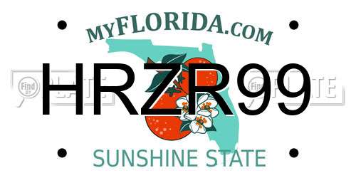 HRZR99 Florida License Plate