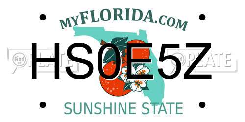 HS0E5Z Florida License Plate