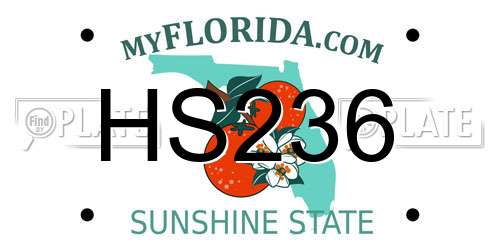 HS236 Florida License Plate