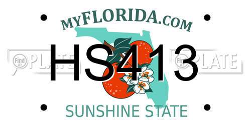 HS413 Florida License Plate