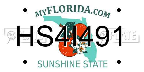 HS4I491 Florida License Plate
