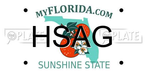 HSAG Florida License Plate