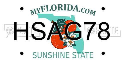 HSAG78 Florida License Plate
