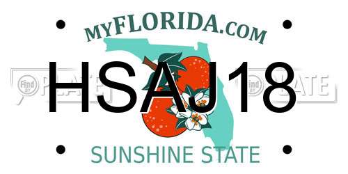 HSAJ18 Florida License Plate