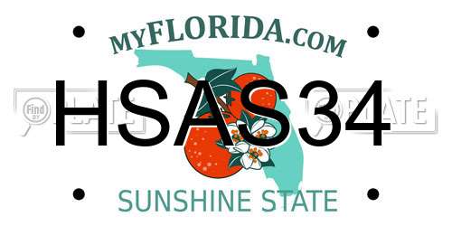 HSAS34 Florida License Plate