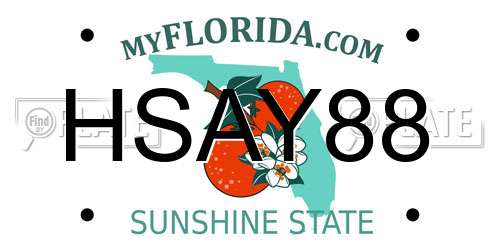 HSAY88 Florida License Plate
