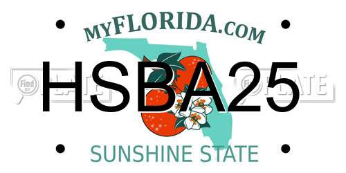 HSBA25 Florida License Plate