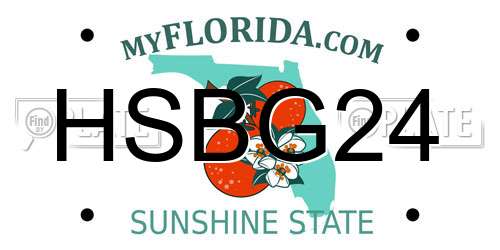 HSBG24 Florida License Plate