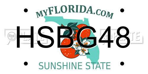 HSBG48 Florida License Plate