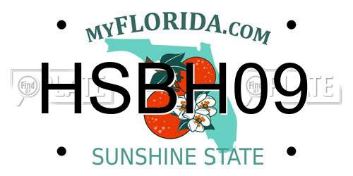 HSBH09 Florida License Plate