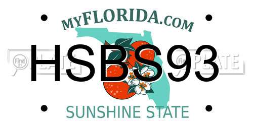 HSBS93 Florida License Plate