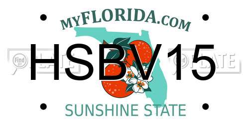 HSBV15 Florida License Plate